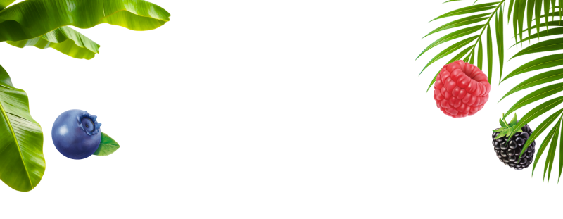 header-image-dense