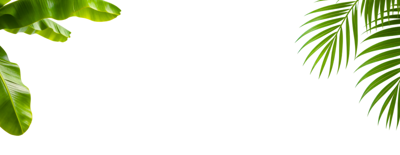 header-image-wide