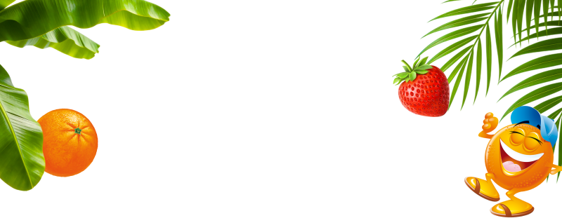 header-image-dense